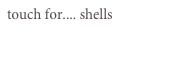 touch for.... shells